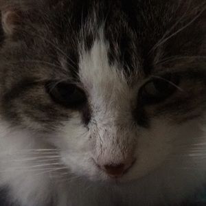 Meet your Posher, Gretchen